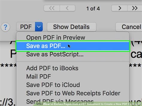 You can also rename it if necessary. 6 Ways to Extract Pages from a PDF Document to Create a ...
