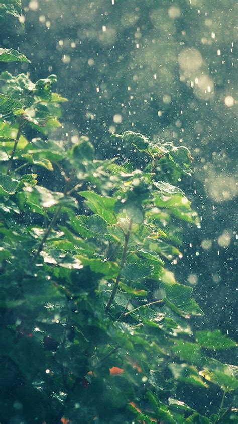 Summer Rain Wallpapers 4k Hd Summer Rain Backgrounds On Wallpaperbat