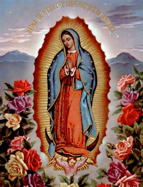 Imagenes De La Virgen De Guadalupe Con Rosas Para Compartir