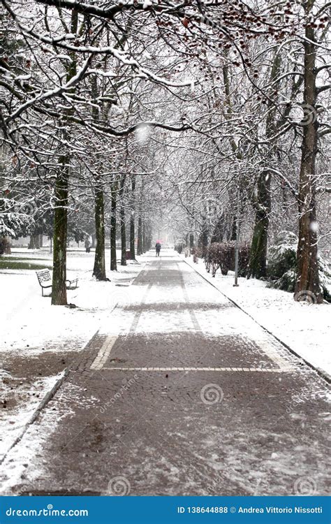 Alleyway In A Park In A Late Snowfall Day Stock Photo Image Of Season