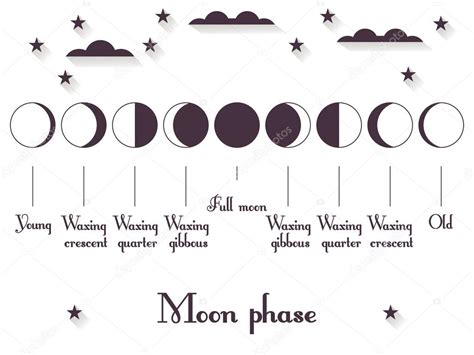 Las Fases De La Luna Todo El Ciclo De Luna Nueva A Llena Ilustración