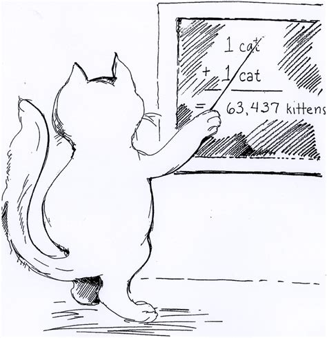 Cat overpopulation is a serious issue. Cat Man Do | Dr. Arnold Plotnick: July 2013