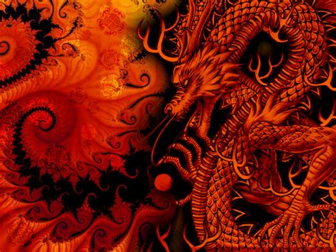 Orange Dragon Background Wallpaper Dragon Background Wallpaper