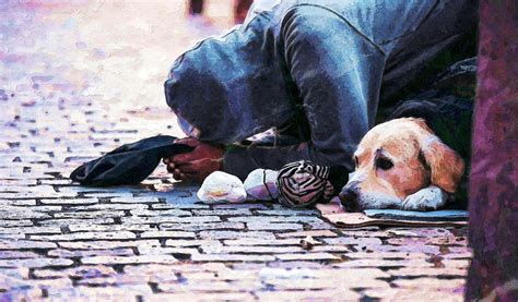 Sobre Os Processos De Segregação Urbana é Incorreto Afirmar Que: