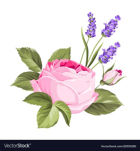 Label With Rose Flowers Royalty Free Vector Image