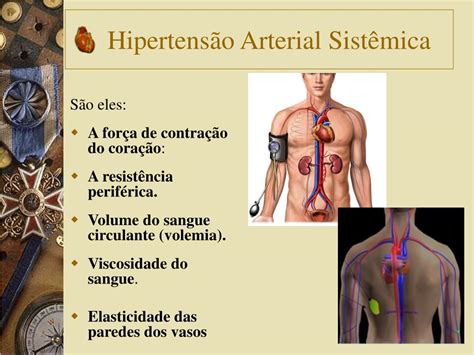 Terminologia Da Pressão Arterial MODISEDU