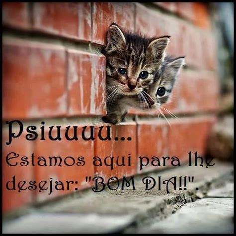 Encontre as imagens, wallpaper, orações, vídeos, ícones, fotos, frases, pinturas que você está procurando no imagens bonitas. Bom Dia panosundaki Pin