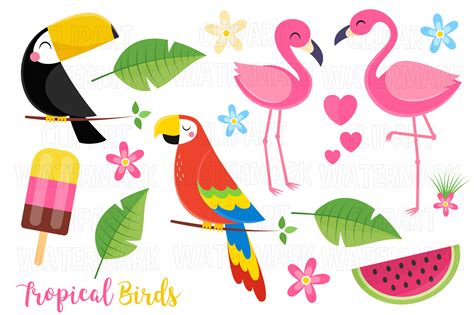 Tropical Birds Clipart Graphic By Magreenhouse · Creative Fabrica