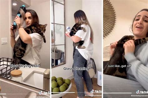 This Tiktok Couple Has The Clingiest Cat Youve Ever Seen Upworthy