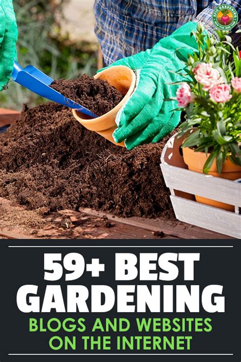 59 Best Gardening Blogs And Websites On The Internet