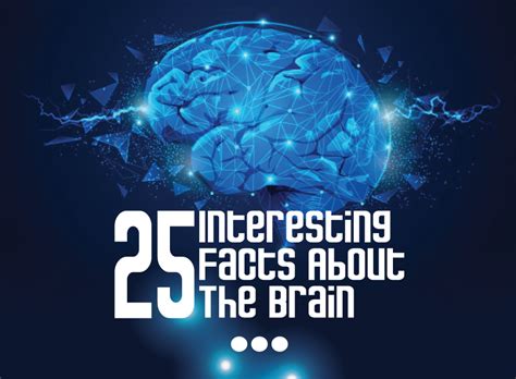 25 Interesting Facts About The Brain The Human Brain Is The Most