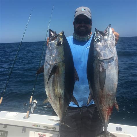 Fishing Charters Seasons Fish Species Season Captain Jason Stock