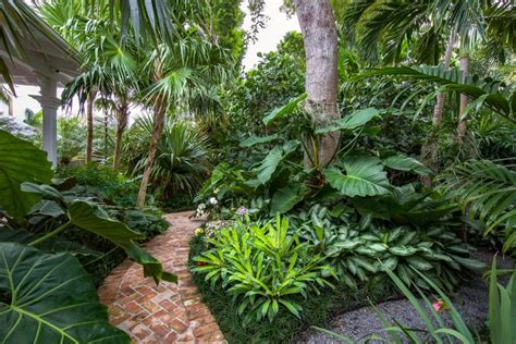 Tropical Garden And Walkways Hgtv