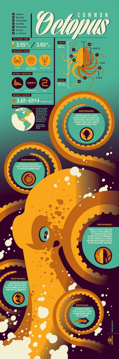 22 Best Infographic Design Images In 2020 Infographic Design