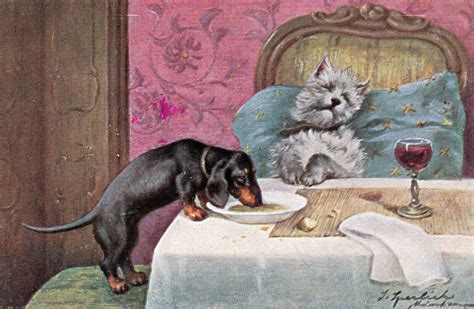 Dachshund Eating Sleeping Dogs Food Free Stock Photo Public Domain