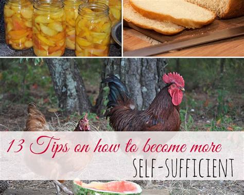 13 Tips On How To Become More Self Sufficient