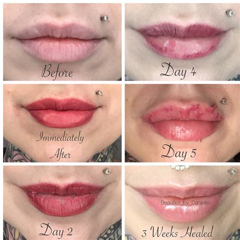 Permanent Makeup Lips Healing Time Mugeek Vidalondon