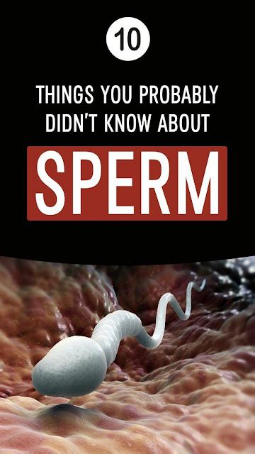 10 Things You Probably Didnt Know About Sperm Wellness Magazine