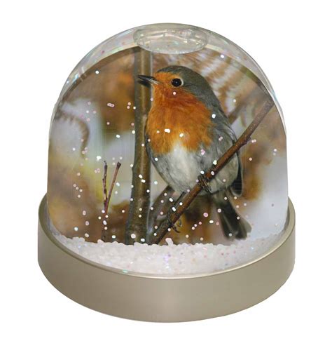 Autumn Robin Red Breast Snow Dome Photo Globe Waterball Animal T Ab