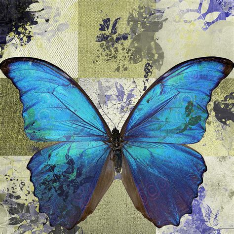 Butterfly Art S02b Digital Art By Variance Collections