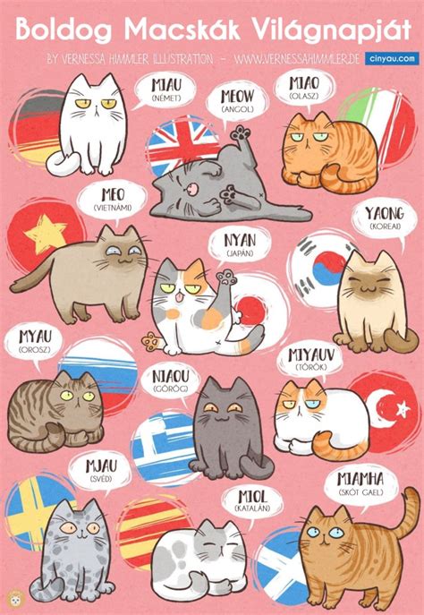 Boldog Macskák Világnapját Cinyau