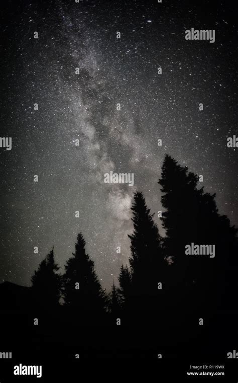 Milky Way Over The Night Forest Stock Photo Alamy
