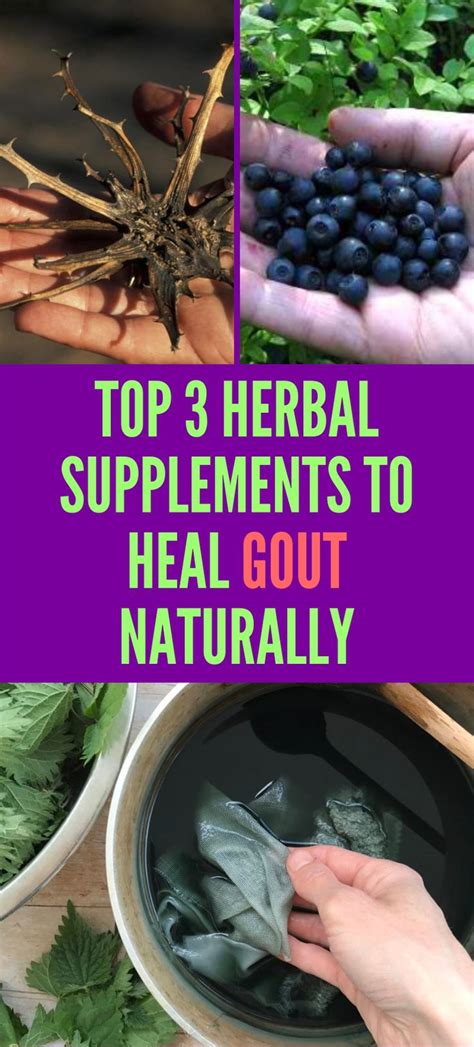 Pin On Gout Treatment And Herbs To Cure