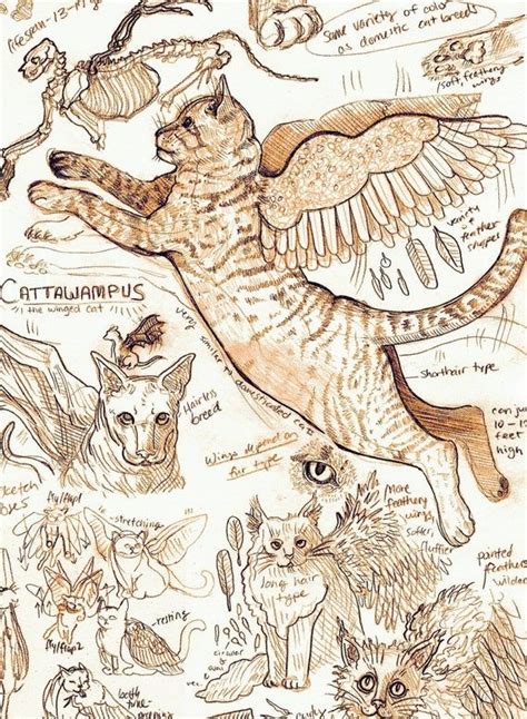 Winged Flying Cryptid Cat Mythology Anatomy Art Print Etsy Anatomy