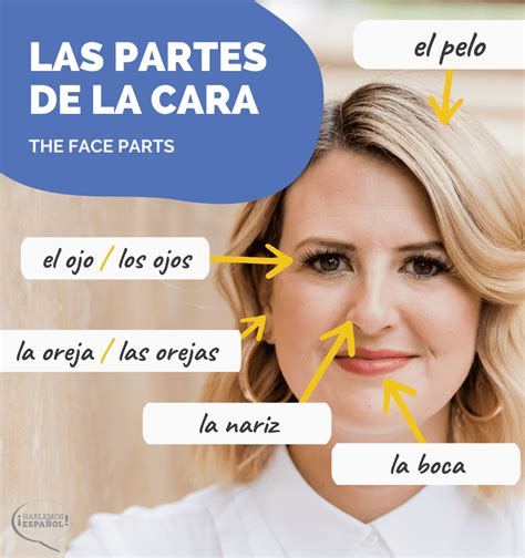Body Parts In Spanish Infographics Videos Quizzes