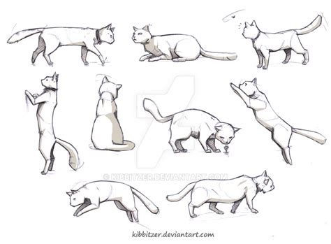 Cat Drawing Poses At Explore Collection Of Cat