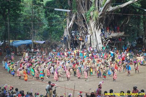 Top 10 Vanuatu Festivals And Cultural Events A Locals Guide
