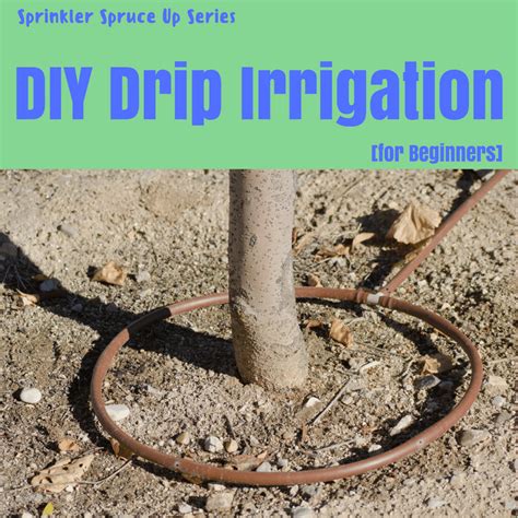 Diy Drip Irrigation Diy Ideas
