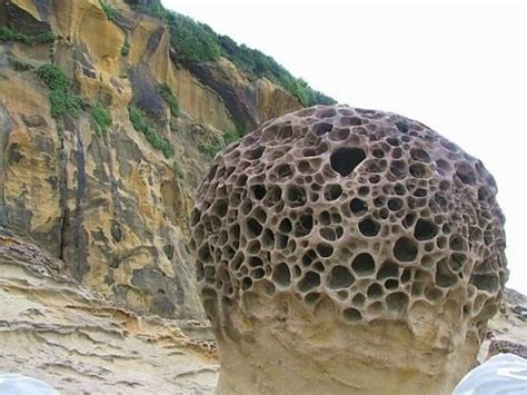 Trypophobia Is Fear Of Clustered Holes Its Usually Small Holes In