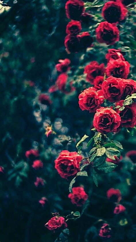 Read more about 50 beautiful dark. Ghim trên nice wallpaper