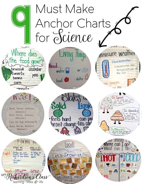 9 Must Make Anchor Charts For Science