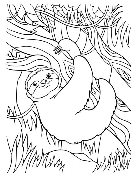Sloth Coloring Page For Kids 13801578 Vector Art At Vecteezy