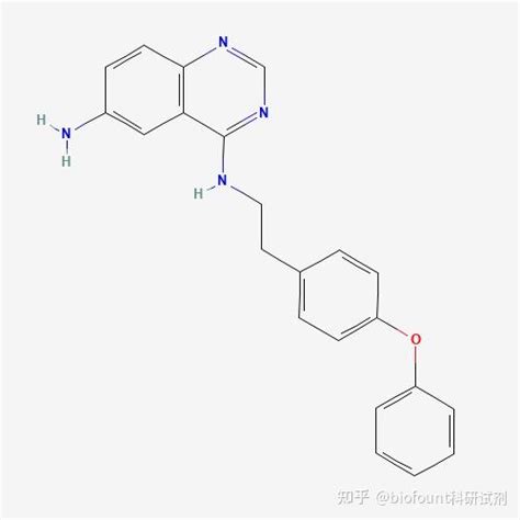 QNZ NF kB 抑制剂 知乎