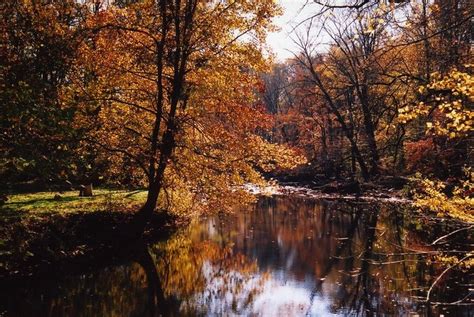 When To See Fall Foliage In Delaware This Year