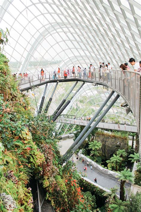 Two structures, the cloud forest and the flower dome, are the stars of the show. 15 Things You Need To Know About Visiting Singapore ...