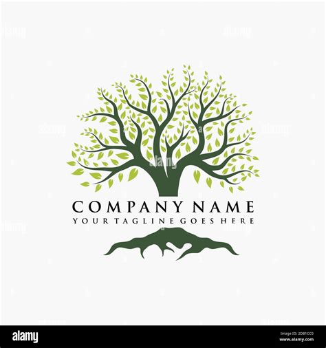 Abstract Vibrant Tree Logo Design Root Vector Tree Of Life Logo Design Inspiration Stock