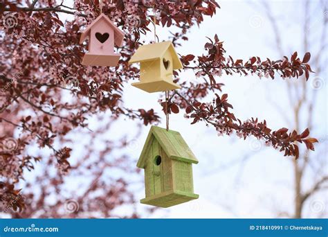 Different Wooden Bird Houses Hanging From Tree Outdoors Stock Image