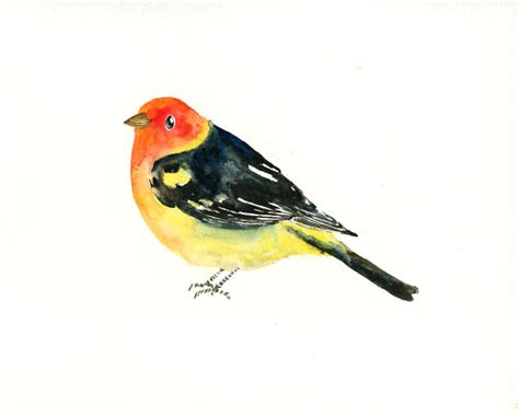 Western Tanager Bird Painting Bird Artwork Bird Print Bird Etsy