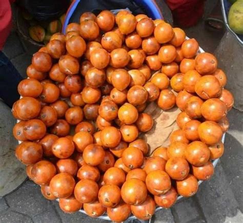 Health Benefits Of African Star Apple You Should Know About