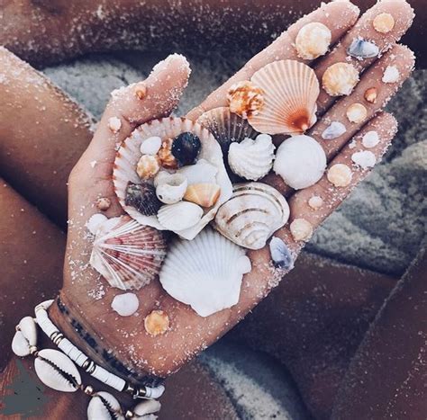 Pin By Ava Reed On Beach Please Summer Vibes Summer Aesthetic