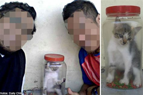 Johor men apologise for stuffing kitten in jar, say it is still alive ...