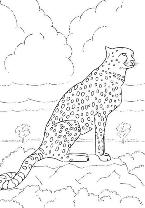 Get This Cheetah Coloring Pages To Print Atw85
