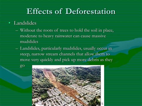 Ppt Deforestation Powerpoint Presentation Free Download Id6048387