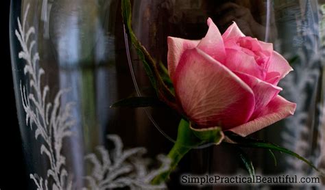 Tracey-anne's Blog: BEAUTY AND THE BEAST ~ ROSE AND GLASS ...