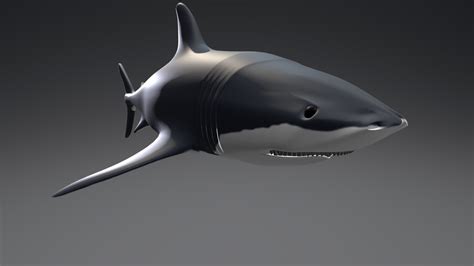 Shark Buy Royalty Free 3d Model By Ramoncastro117 Ramoncastro117