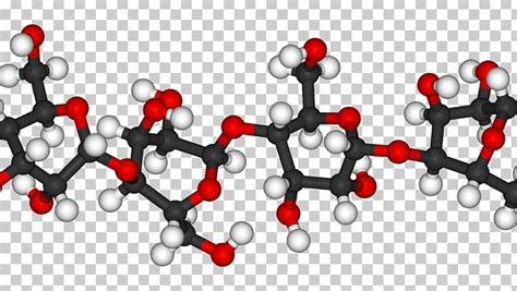 Starch Molecule 3d